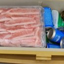 고니민박 이미지