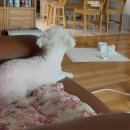 주호빌딩 | [9월 총정리] 메이플하고 낚시하고 야구보고 염색하고 러닝하는 백수