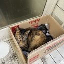 모둠전집 이미지