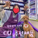 [내돈내산 편의점 식품] CU, 커피 &amp; 음료 &amp; 라면 &amp; 주전부리 추천