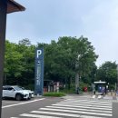 세계로여행사유 | [서울 가볼만한곳] 주말 용산 데이트 코스, 국립중앙박물관 무료 관람 및 사유의 방 후기
