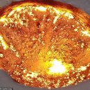 김재성농장 | 2019년 3월 23일