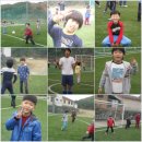 XPL 태권도 이미지