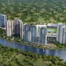 셀레스타 이미지