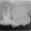 서울리치과의원 이미지