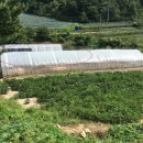 원통초 신덕분교장 이미지