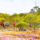 화개정원 이미지