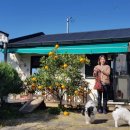 대정게스트하우스 이미지