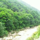 대구은행 황제지점 앞 이미지