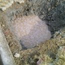 빼올약수터 이미지