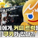 엔제리너스 이미지