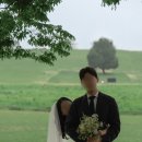 에덴화원 이미지