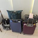 남성카서비스 | 다낭 남성마사지 공항 픽업 아지트 스톤 90분 후기