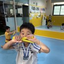 용인대 유일 태권도장 이미지