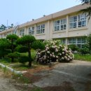 우리들의 꿈들 이미지