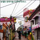 와니코스 이미지