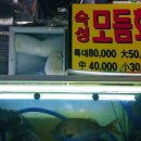 장흥상회 이미지