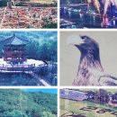 예천맛고을시장 이미지