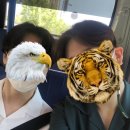 금강떡볶이 이미지
