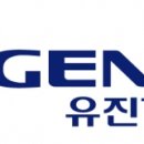 유진마트 이미지