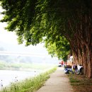 송호관광지 이미지