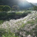 [자박자박 소읍탐방]＜174＞ 제천 수산면 옥순봉 주변 청풍호 전망대 이미지