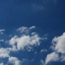 어느, 오후엔 이미지