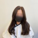 더 미쁘다 이미지