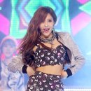 티아라엔포 카카오 검색결과