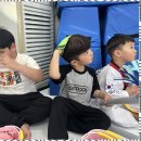 푸른태권도체육관 이미지