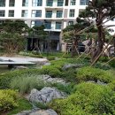 구립 푸른별어린이집 이미지