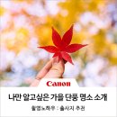 [가을 사진 촬영 스팟] 나만 혼자 알고 싶은 가을 단풍 여행지 소개