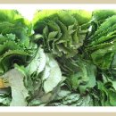 삼공주농장 이미지