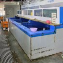 태안로 | 경기도 화성 오픈런으로 다녀온 선창수산 방문기, 신선한 회·가리비 포장 후기