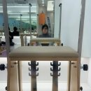 피티메이트