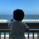 도렐베이커스 | 아기랑 제주여행 3일차 가볼 만한 곳 코스 추천 소금바치순이네 도렐베이커스 빵집 세화 해변 해수욕장