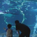 삼대빌딩 이미지