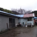 모시개민박 | 20120301~07 울릉도 트레킹 후기 4부