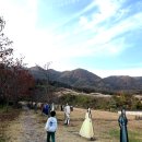 용인 대장금파크 글램핑 카라반 이미지