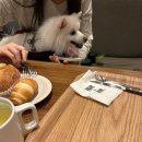 카페 워크샵(cafe workshop) 이미지