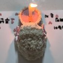 계족산로 5번길 | 퀄리티 좋은 대전 애견 케이크_카페트라슈_개만족 후기