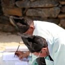 분당-227 이미지