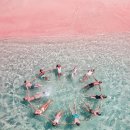 (주)우리노리 이미지