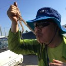 낙지마을 이미지