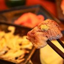 톤보 이미지