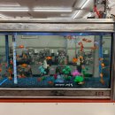 강남기사식당 | 강남 기사식당이자 노포 돈까스 맛집, "가나 돈까스의 집" 솔직 후기