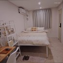 스테이아올