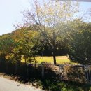 11650-7-2-20 이미지