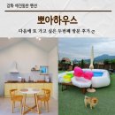 애견하우스 | 강화 애견동반 독채 펜션 뽀아하우스 재방문 내돈내산 후기 수영장