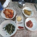 육일원조명태탕 티스토리